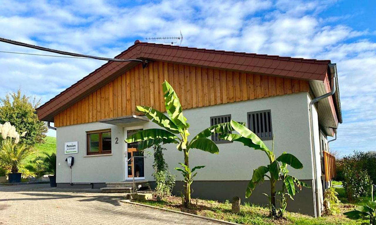 Pension Am Hohberghof Dielheim Exterior photo